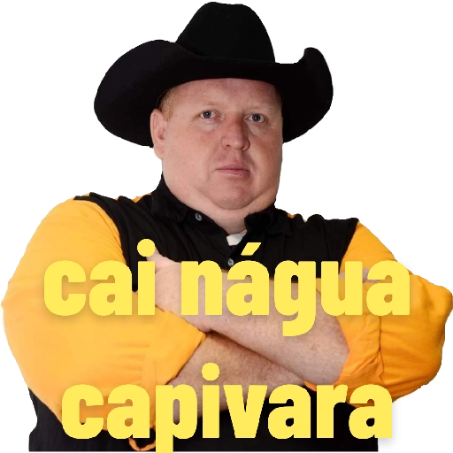 Camiseta de natal